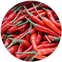 Best micronutrients company in india