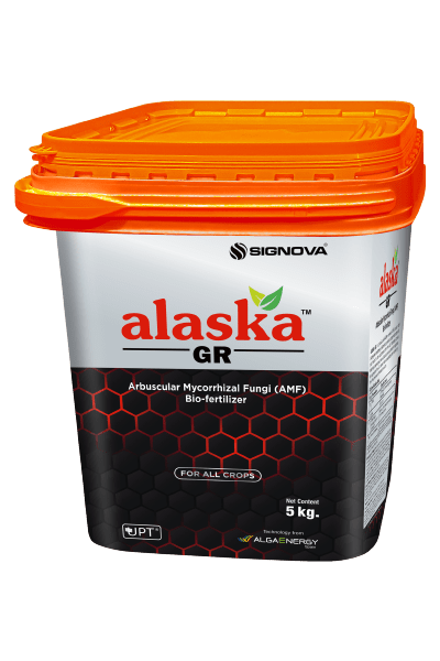 Alaska GR