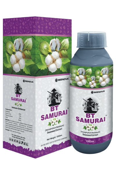 BT Samurai