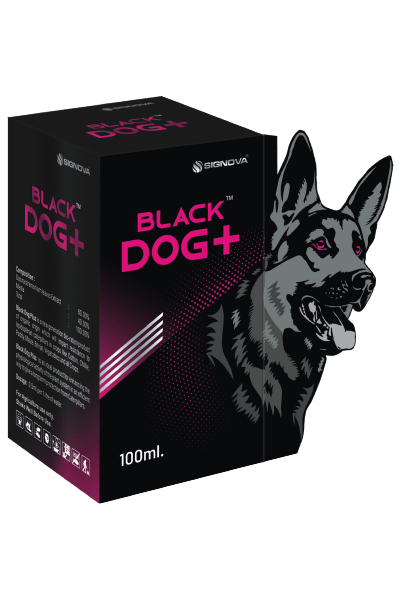 Black Dog +