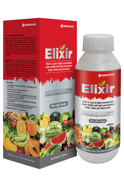 Elixir