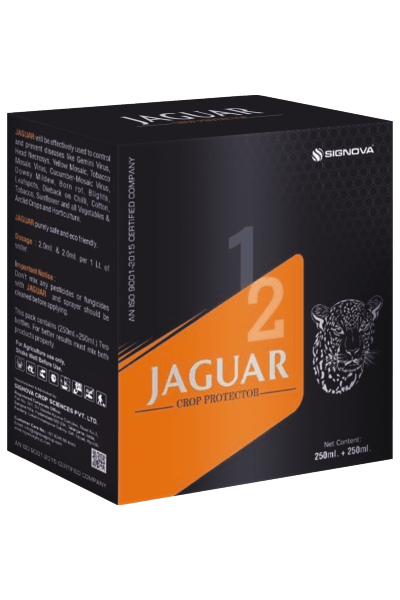 Jaguar 1 & 2