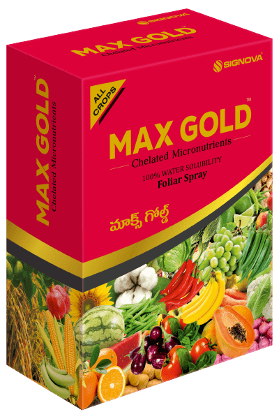 Max Gold