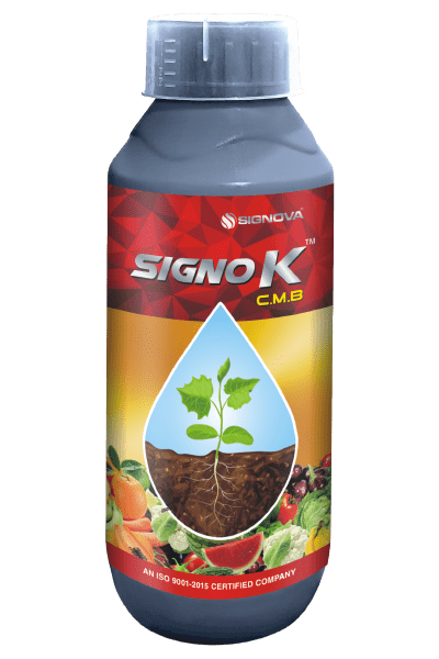 Signo K