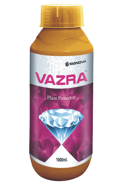 Vazra